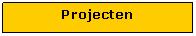 Tekstvak: Projecten